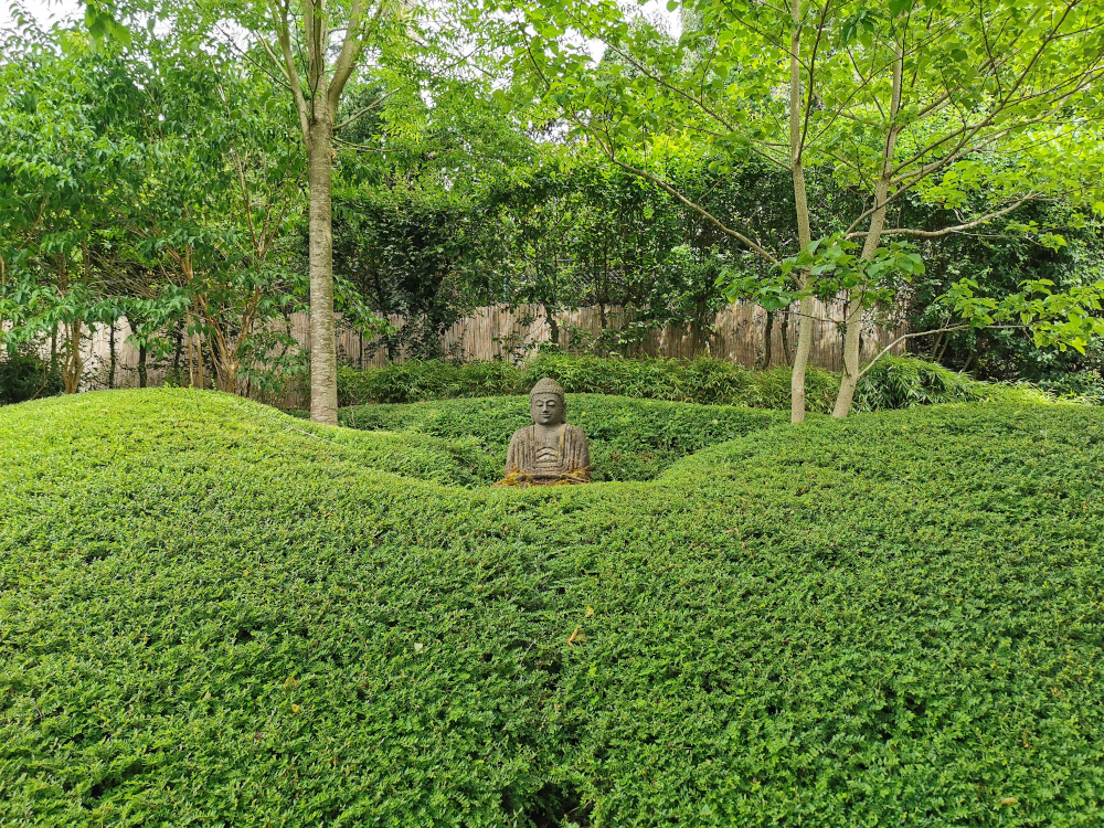 BUddha